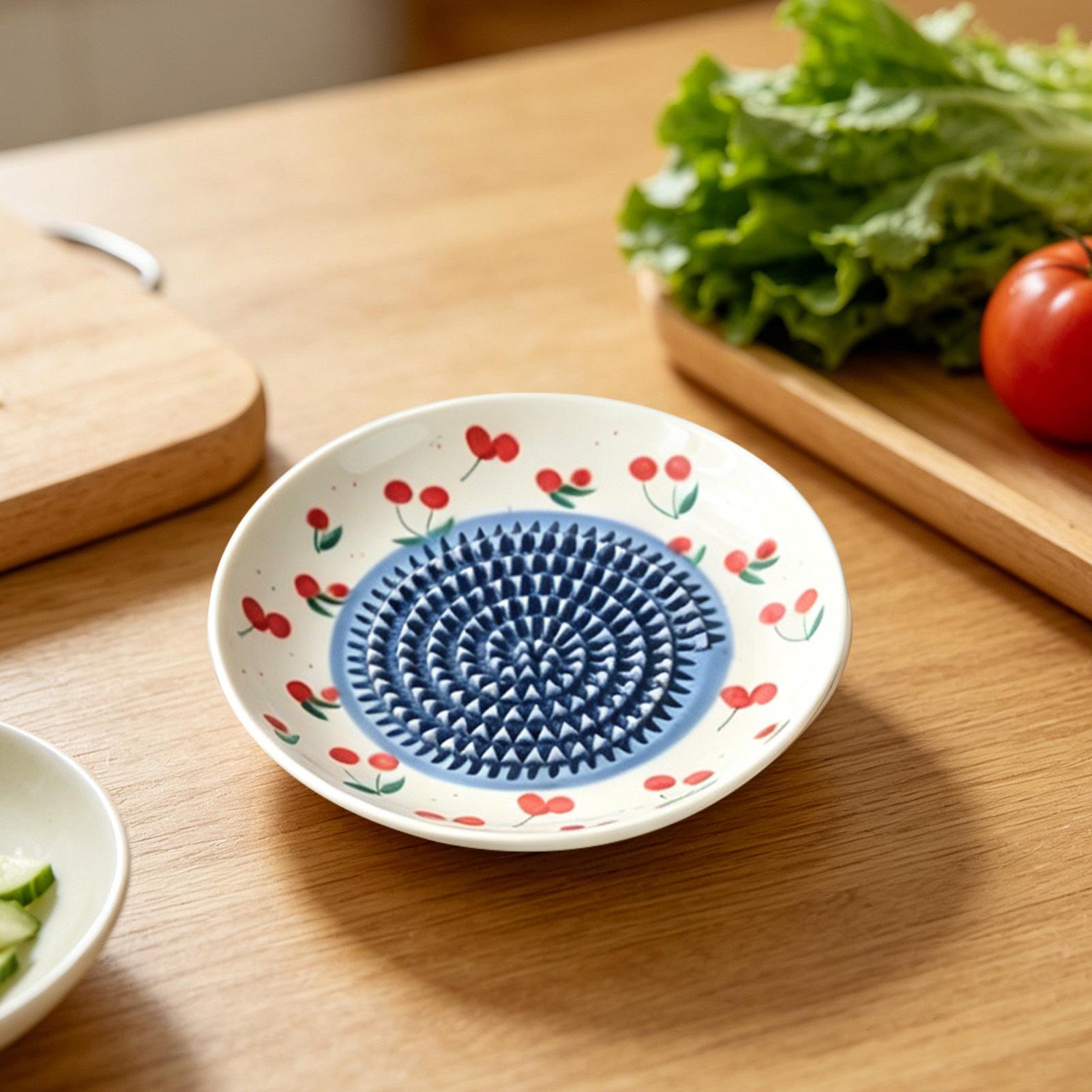 Kitchen Gadgets For Seniors - Râpe à gingembre simple en céramique,