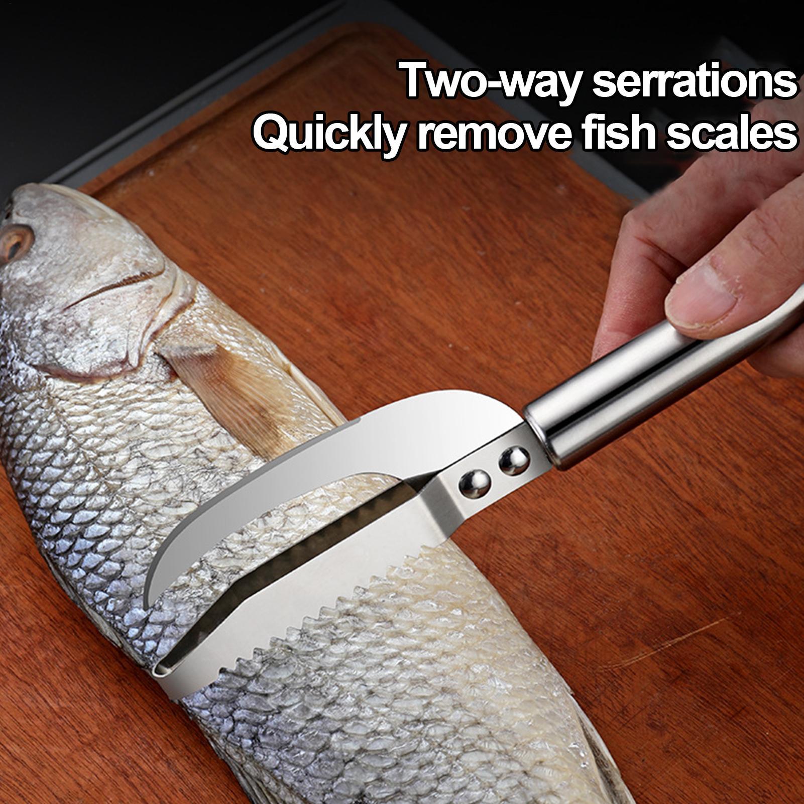 Couteau à écailler le poisson, - Kitchen Gadgets For Seniors avis et prix