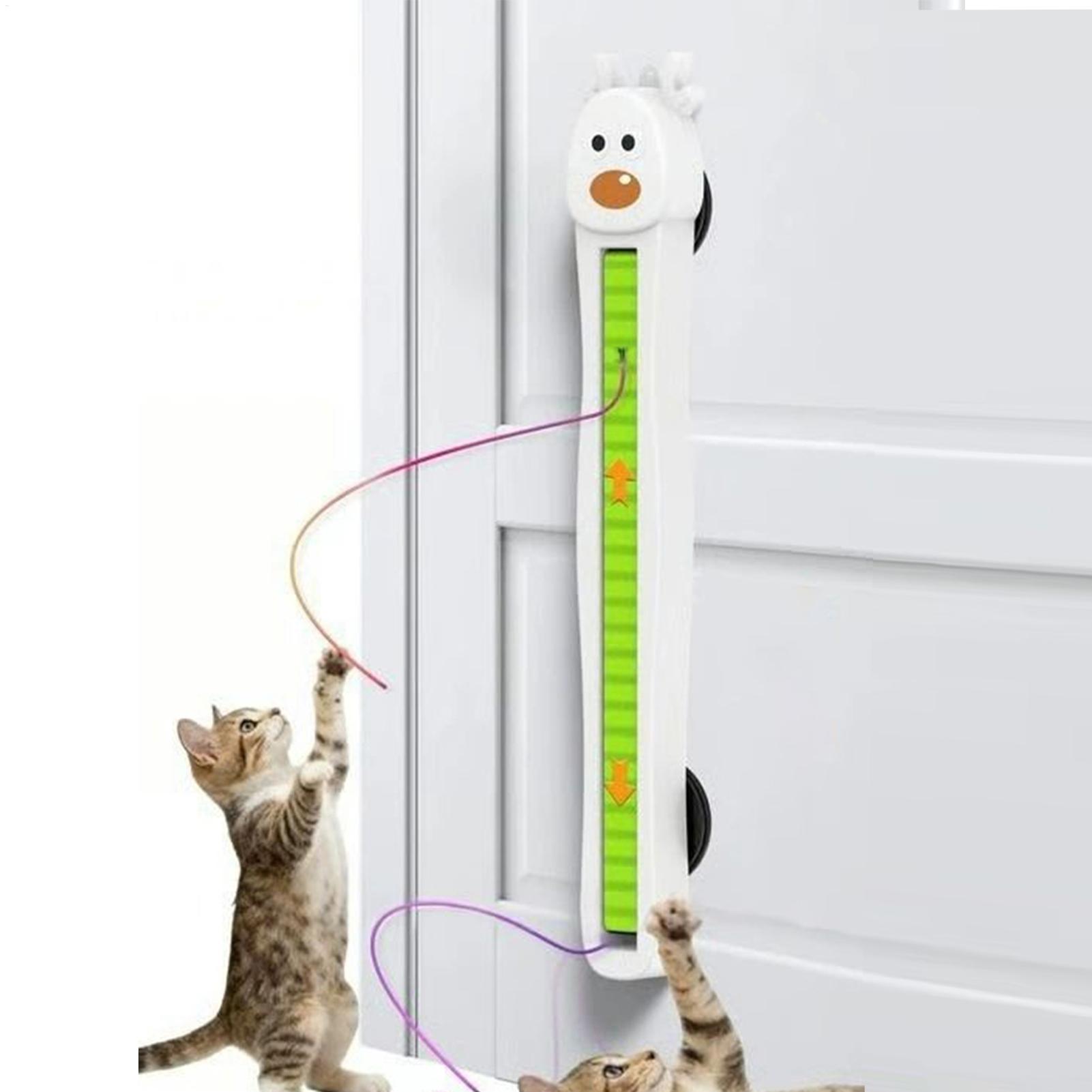 Jouets électroniques pour chat - Kitchen Gadgets Electronic avis et prix