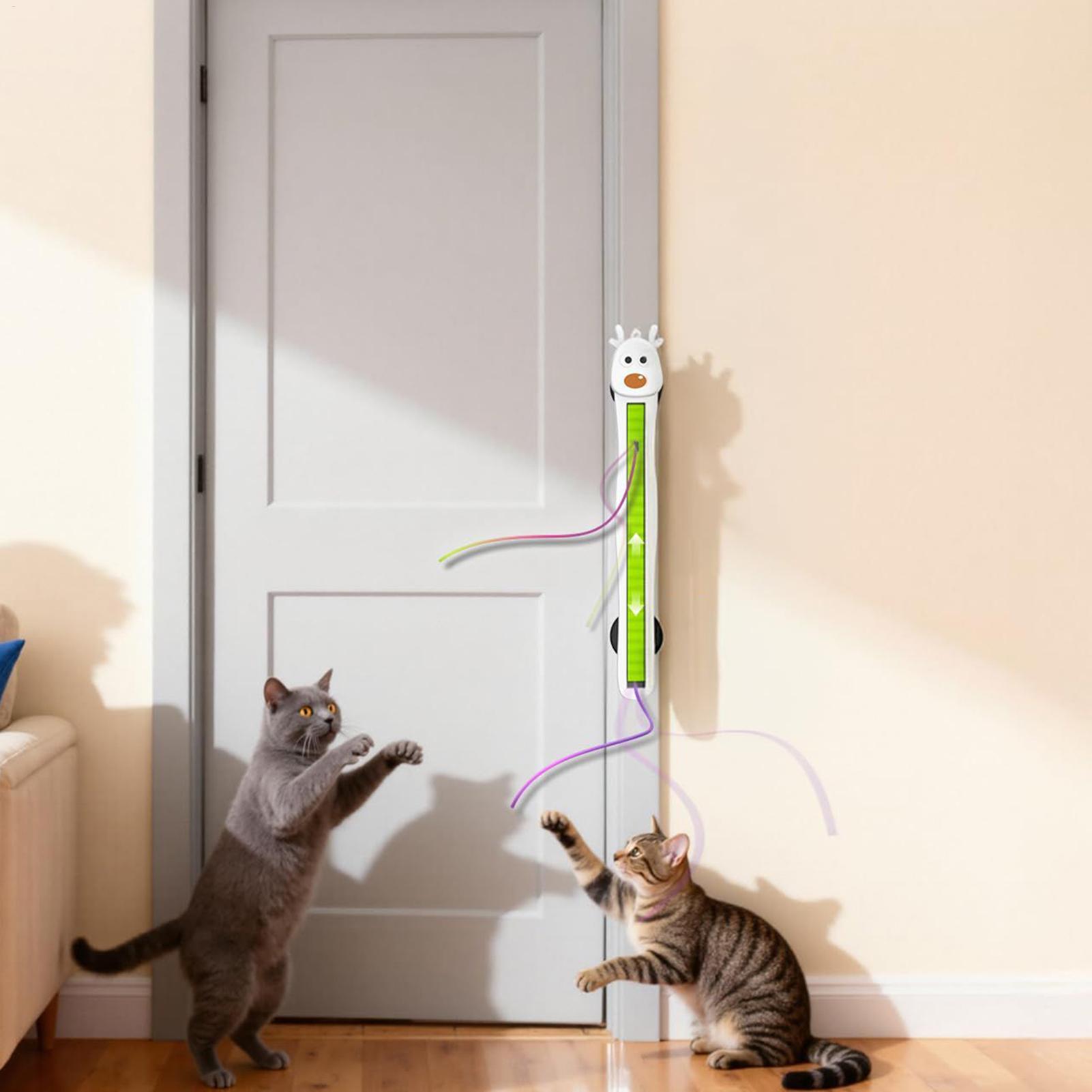 Jouets électroniques pour chat - Kitchen Gadgets Electronic avis et prix